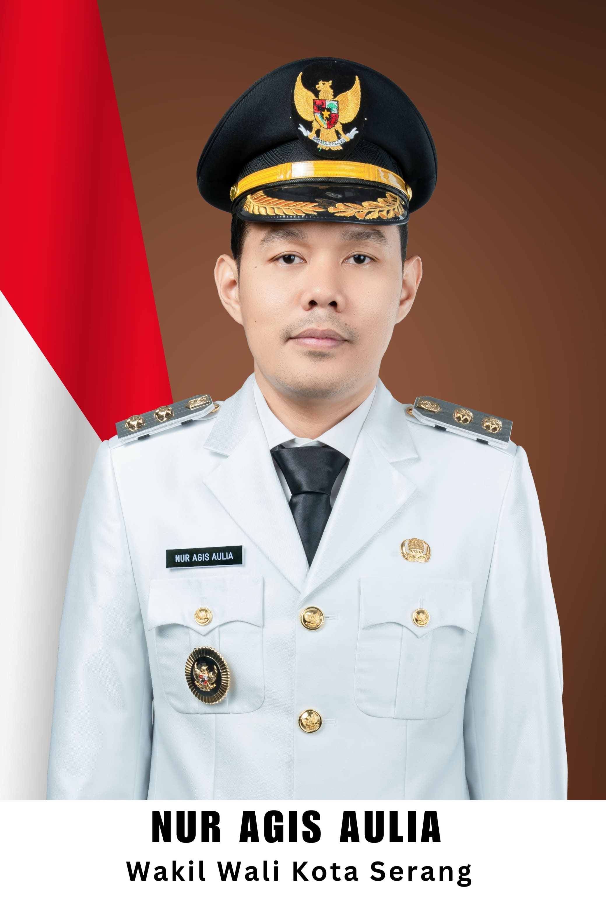 Profil Wakil Wali Kota Serang