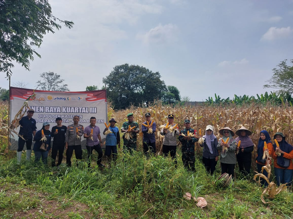 Panen Raya Jagung Kuartal III Bersama Polsek Kasemen